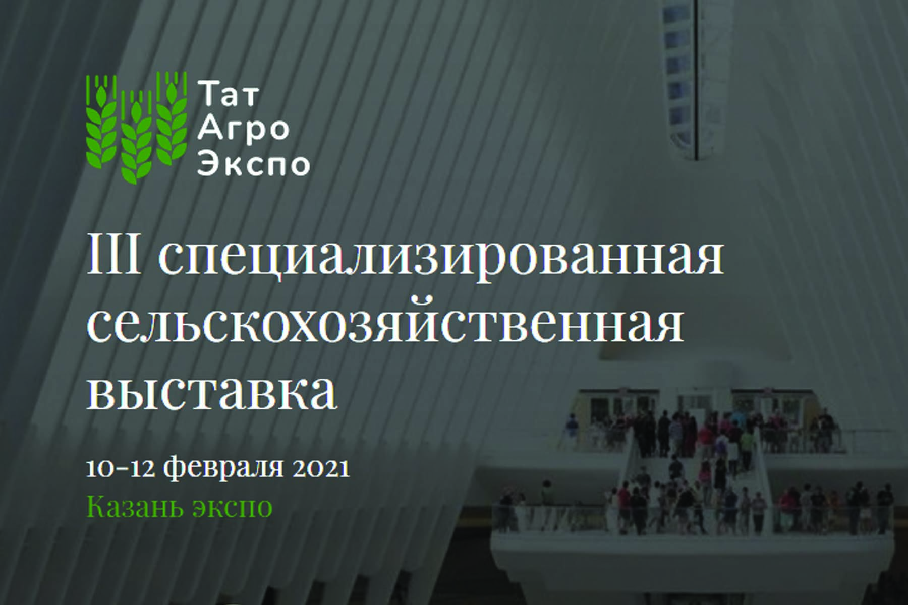 Альфа Трейд на выставке Казань Экспо 10 - 12 февраля 2021 г.